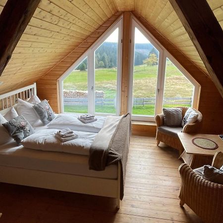 Ferienhaus Rennsteig-Wander-Mountainbike Und Langlaufparadies Friedrichshohe  外观 照片